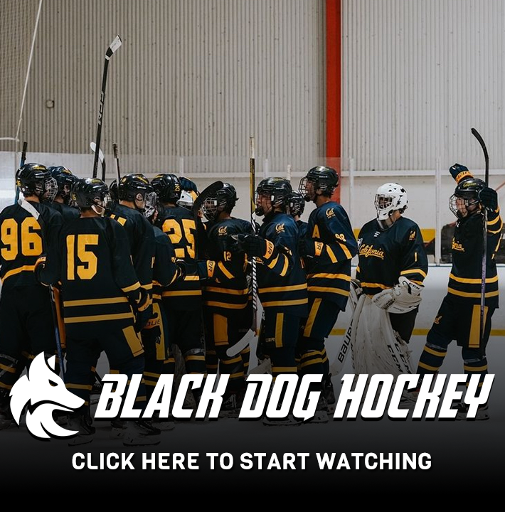 Black Dog Hockey